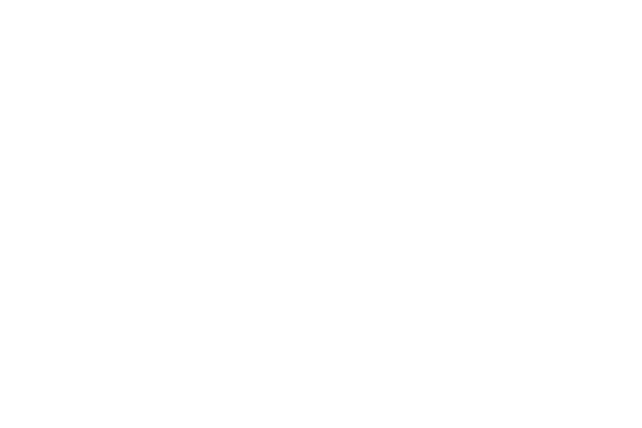 WPPT logo